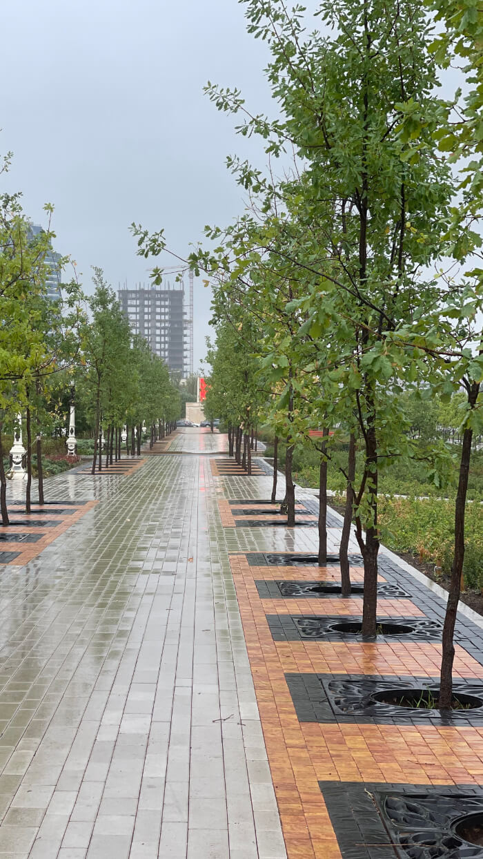 Приствольная решетка для дерева ZKING CRUST 1.2х1.2м Черная в Волоколамске фото