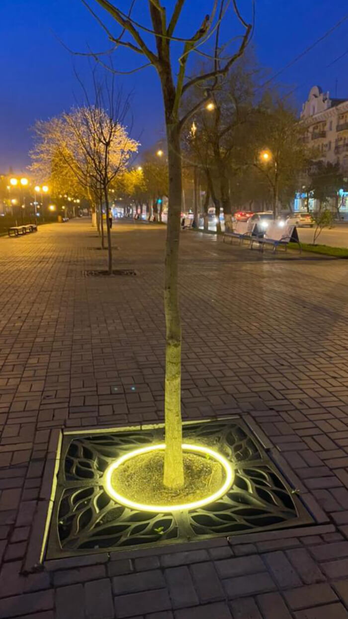 Приствольная решетка для дерева ZKING CRUST 1.2х1.2м Черная в Волоколамске фото